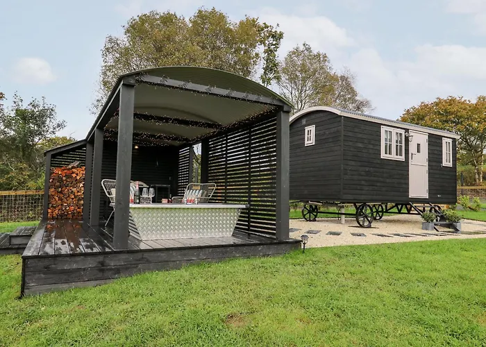 Dragonfly Shepherd\'S Hut