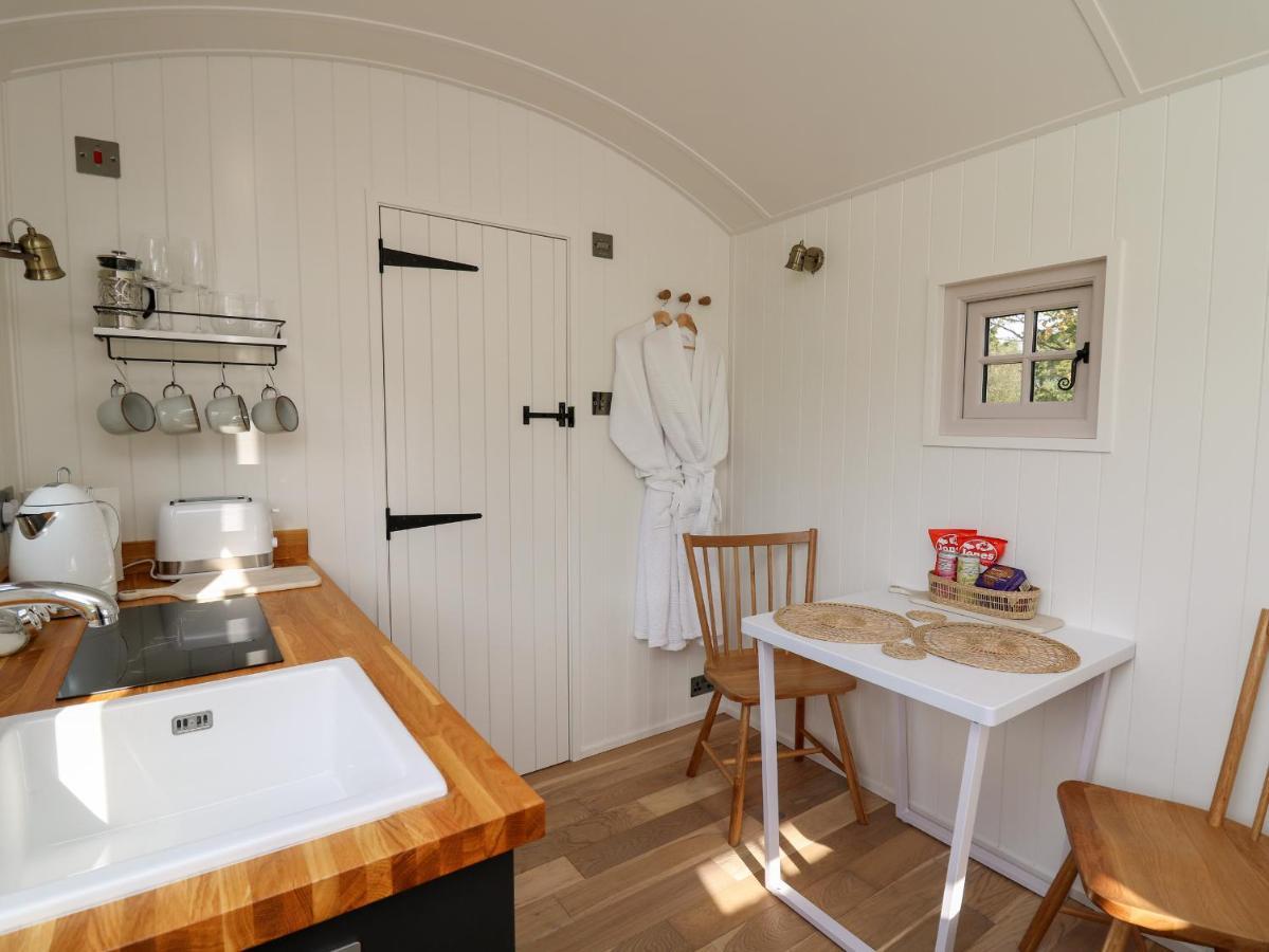 Holiday home Dragonfly Shepherd's Hut Aberaeron