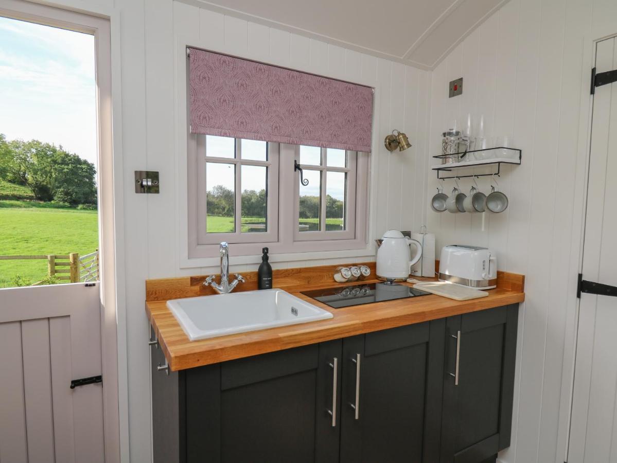 Dragonfly Shepherd's Hut Aberaeron