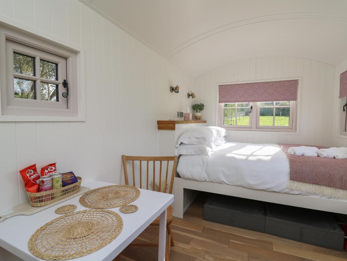 Dragonfly Shepherd's Hut Aberaeron